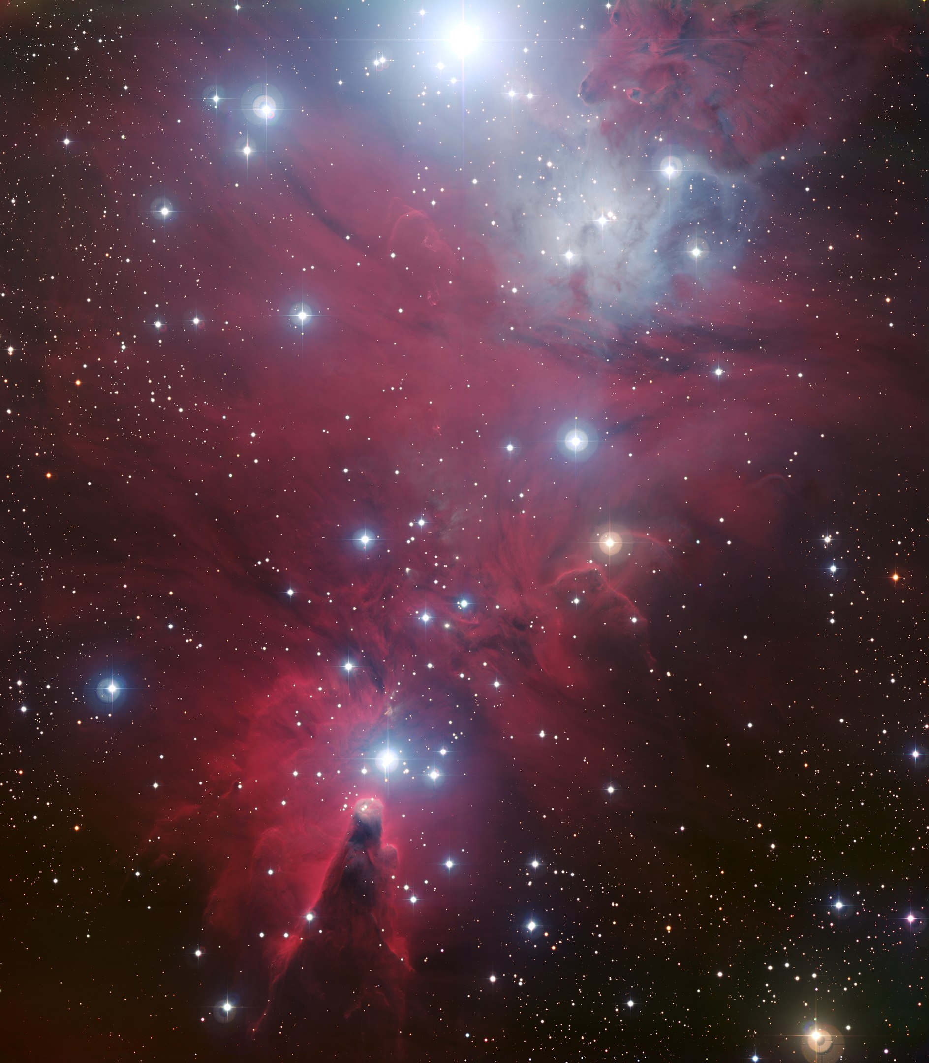 NGC 2264 star cluster, Monoceros