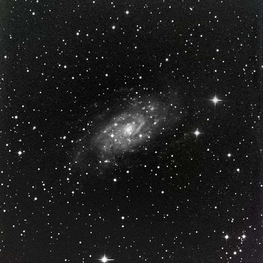 NGC2403 Cameleopardalis