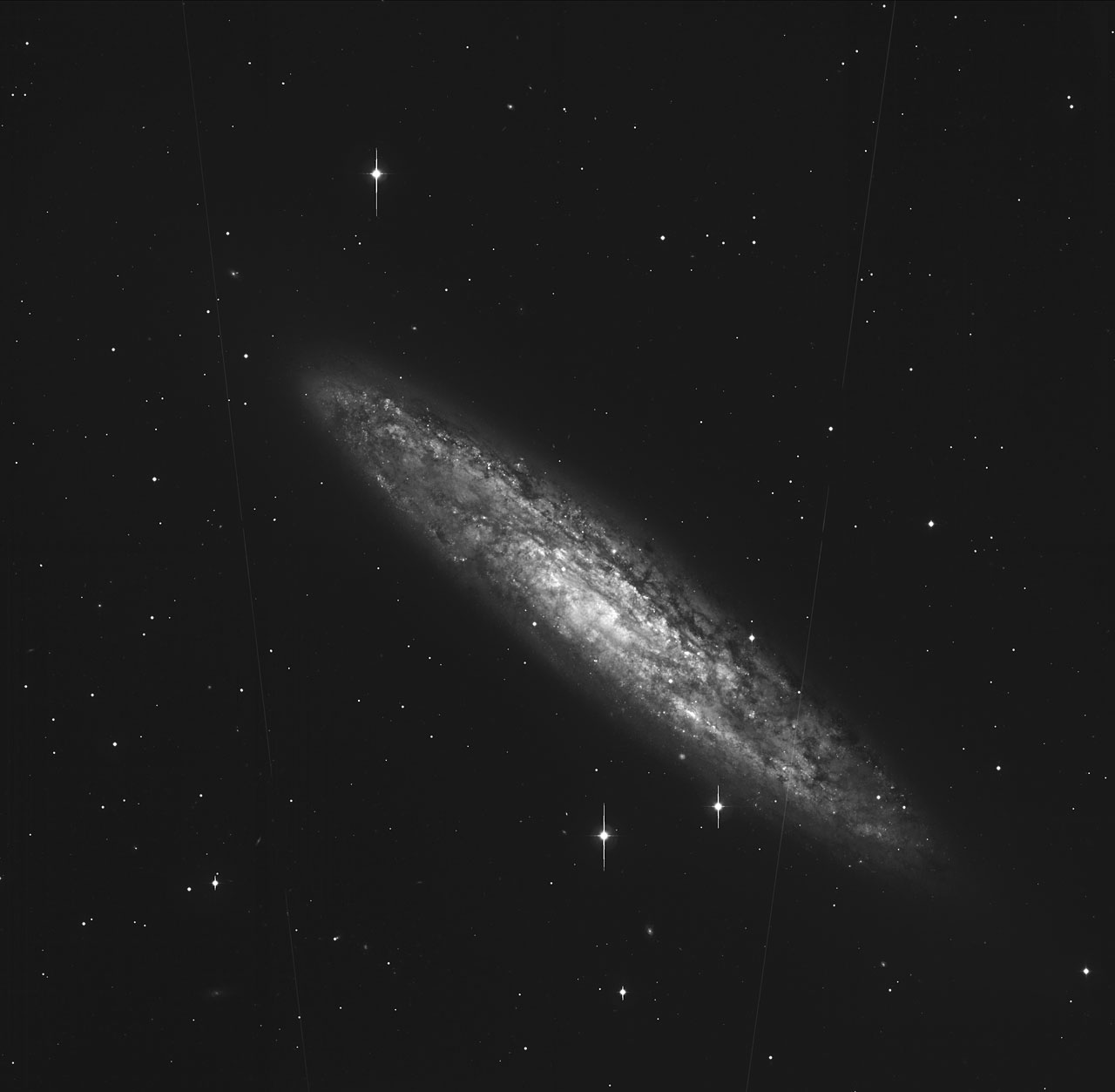 Galaxy NGC 253 Sculptor