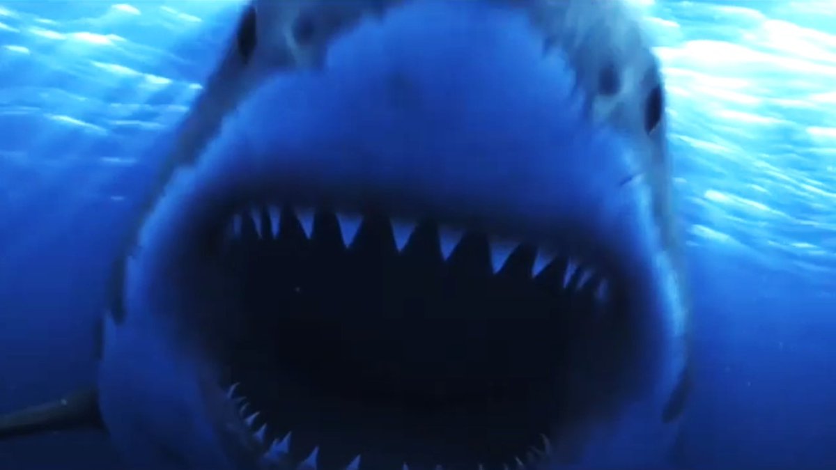 Видео акулы больше
