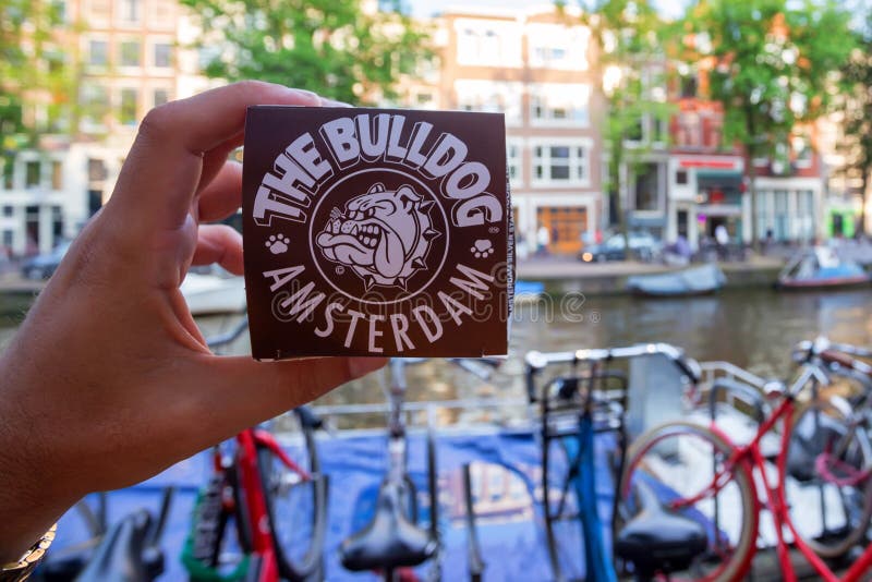 AMSTERDAM, THE NETHERLANDS - JUNE 10, 2014: Hand holds marijuana cupcake from Bulldog coffee shop stock image