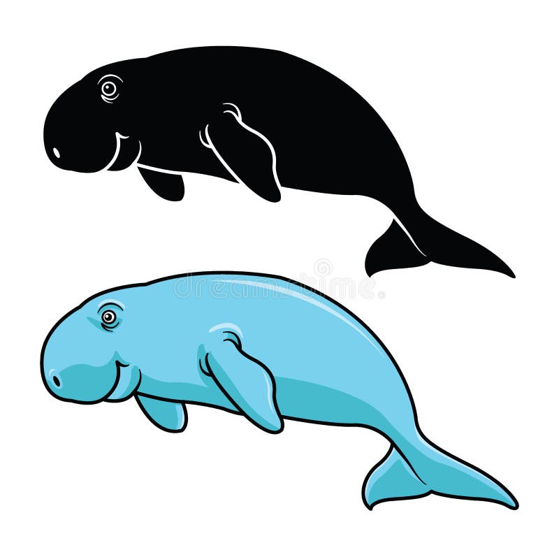 Cute Dugong cartoon animal vector. Vector of a cute dugong on white background. Animal. Wildlife. color and silhouette vector illustration royalty free illustration
