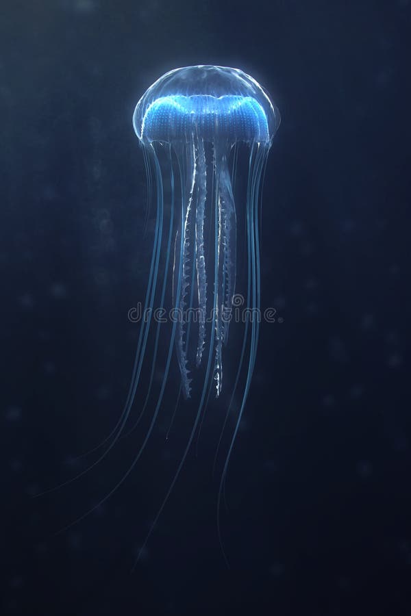 Deep sea jellyfish stock illustration
