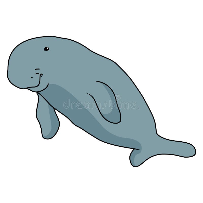 Dugong illustration vector.Under water life vector. Dugong illustration vector isolated on white background vector illustration