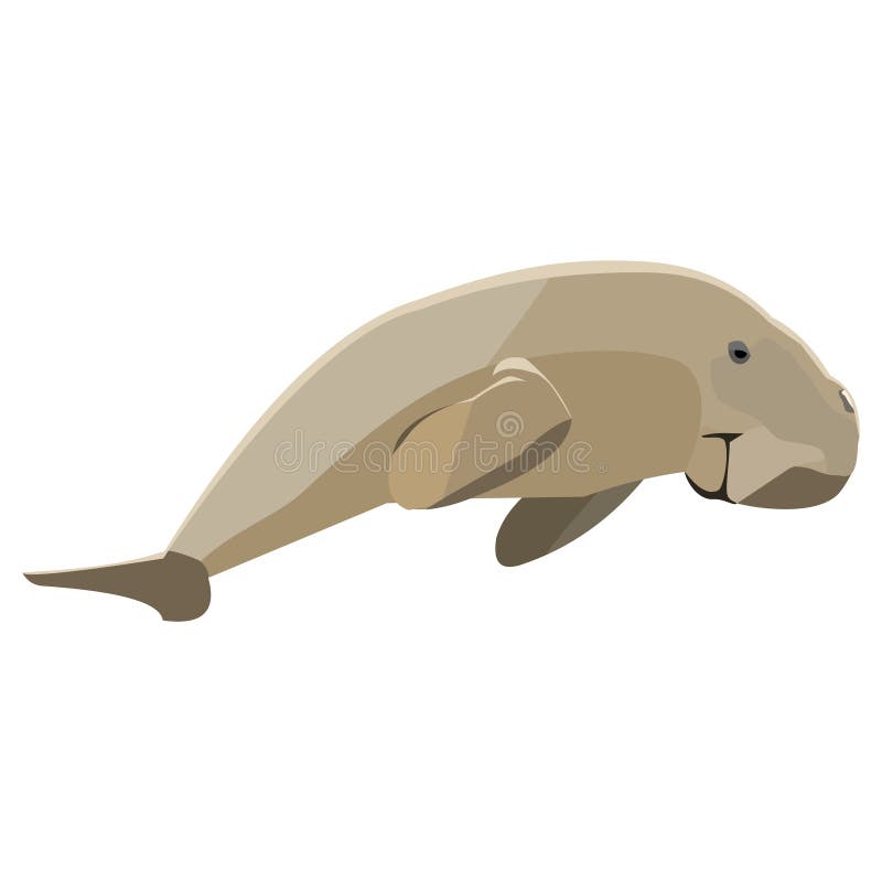 The dugong is an inhabitant animal of Thailand. Vector vector illustration