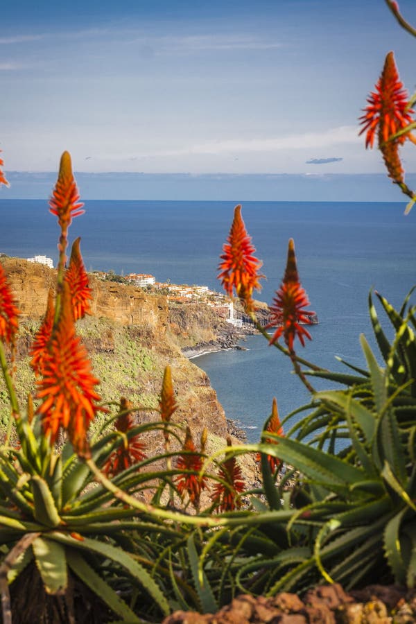 Madeira island, Portugal stock photo