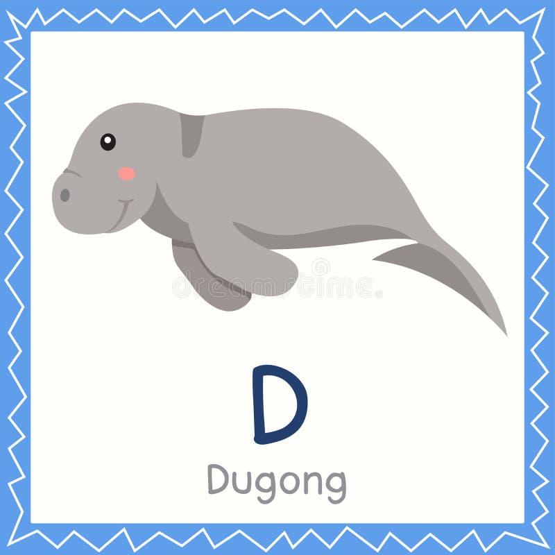 Illustrator of D for Dugong animal for education. Design royalty free illustration