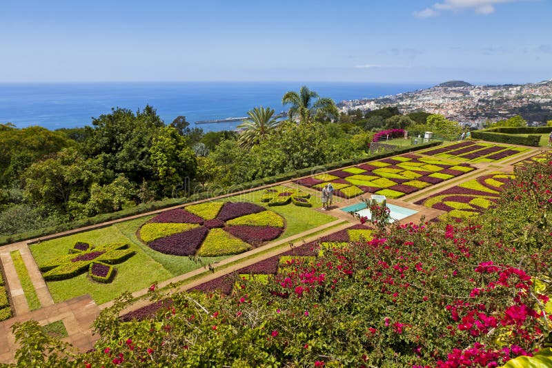 Tropical Botanical Garden in Funchal, Madeira island, Portugal royalty free stock photography