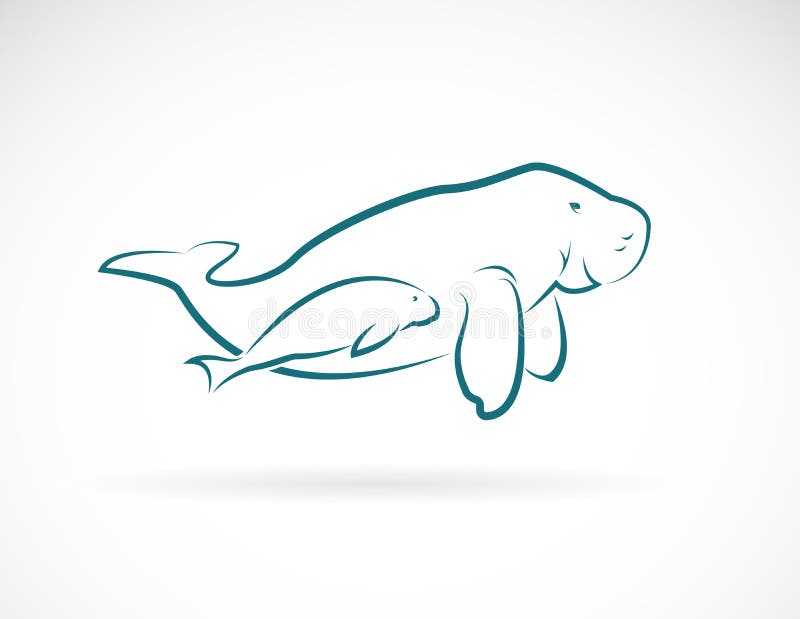 Vector of dugong mother and dugong child on white background. Animal. Mammal. Easy editable layered vector illustration.  vector illustration