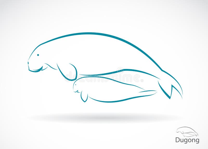 Vector image of an dugong. On white background royalty free illustration