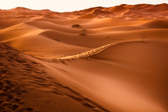 Что такое дюны и барханы? Как они образуются?