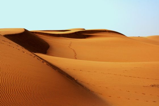 Что такое дюны и барханы? Как они образуются?